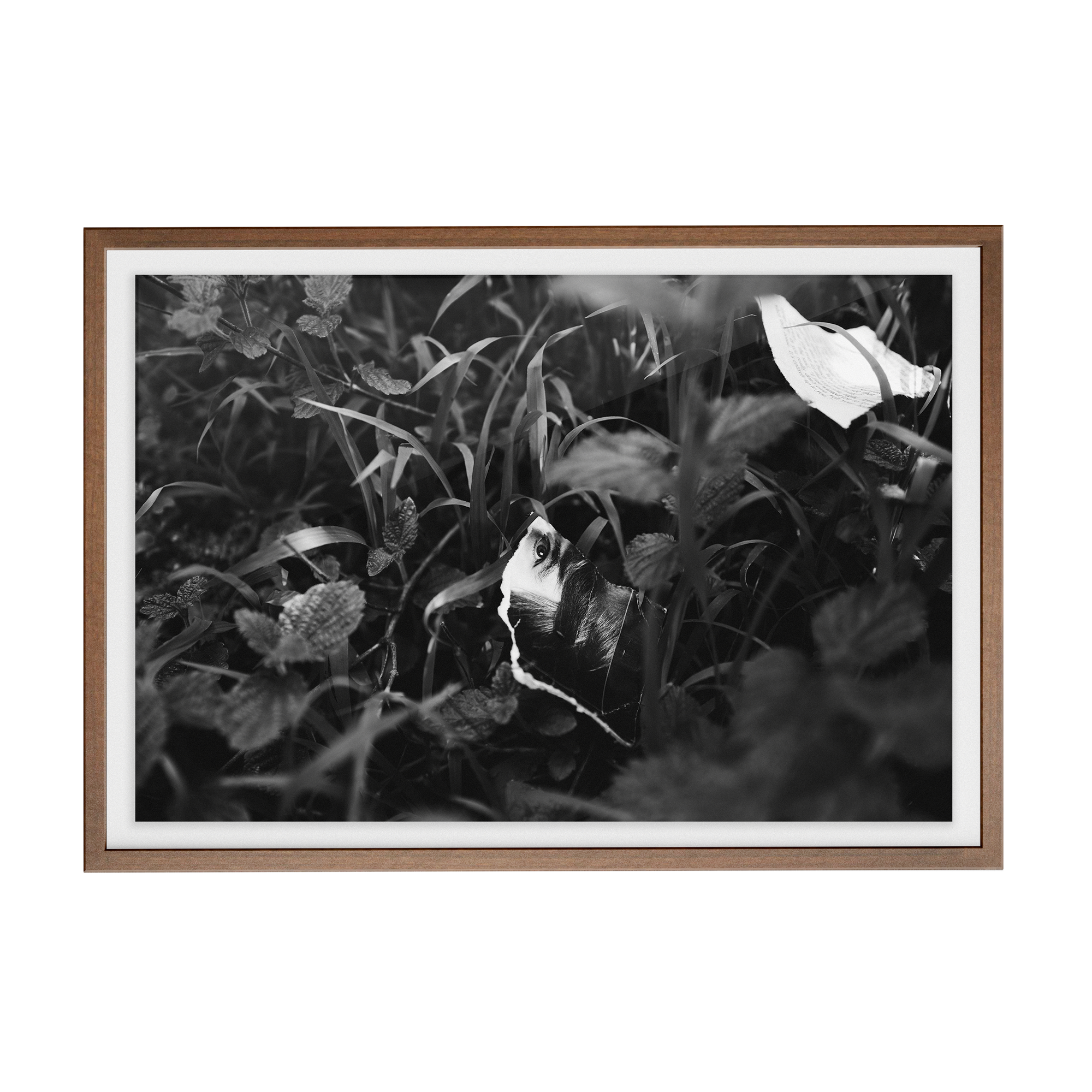 Lashings (Isolation) photographic print
