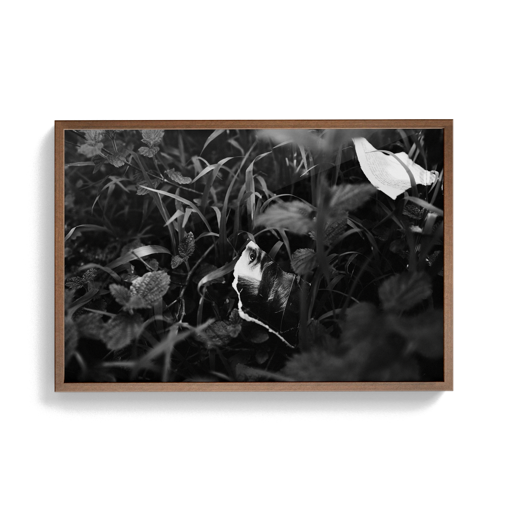 Lashings (Isolation) photographic print