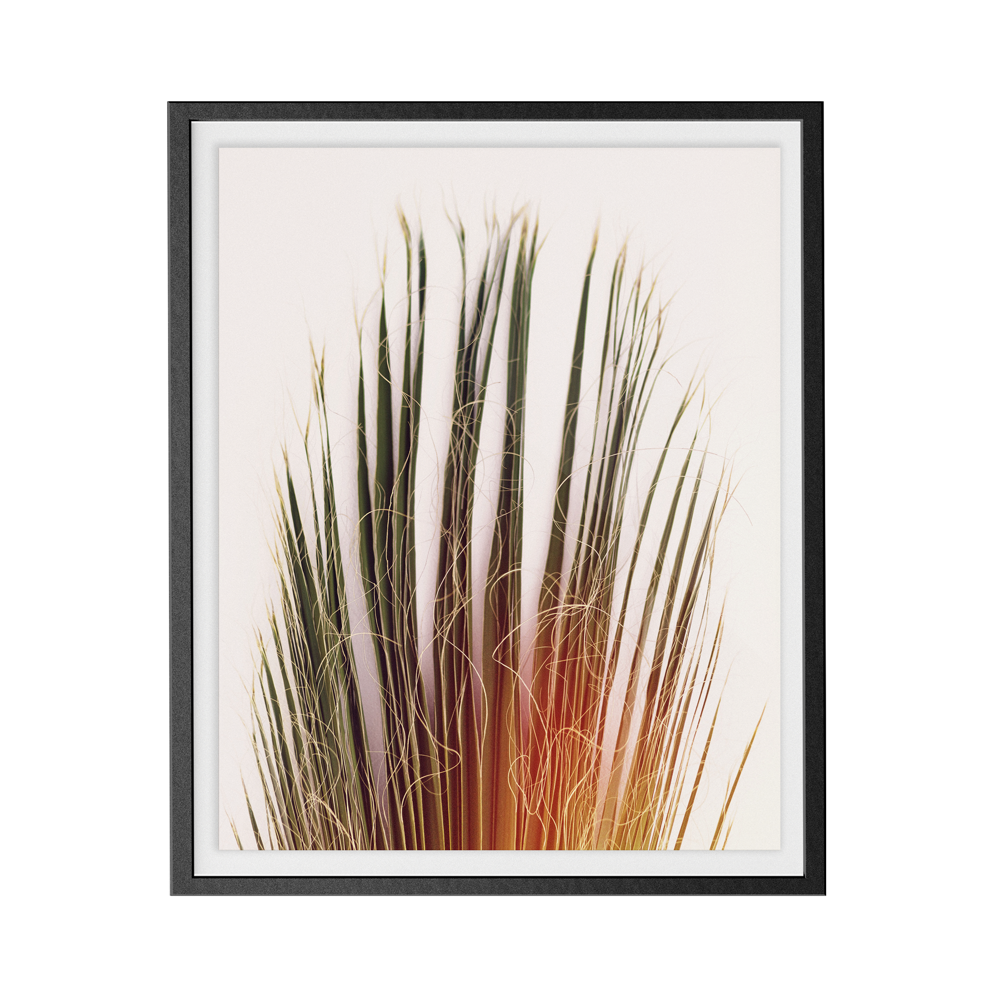 Standard North photographic print