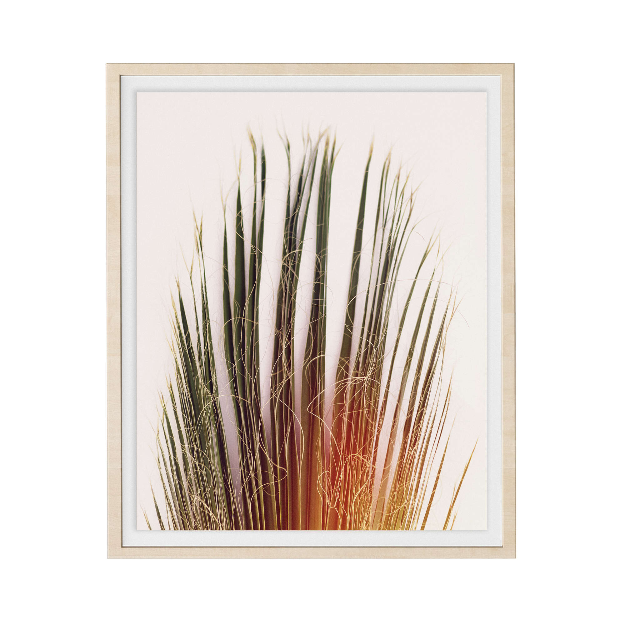 Standard North photographic print