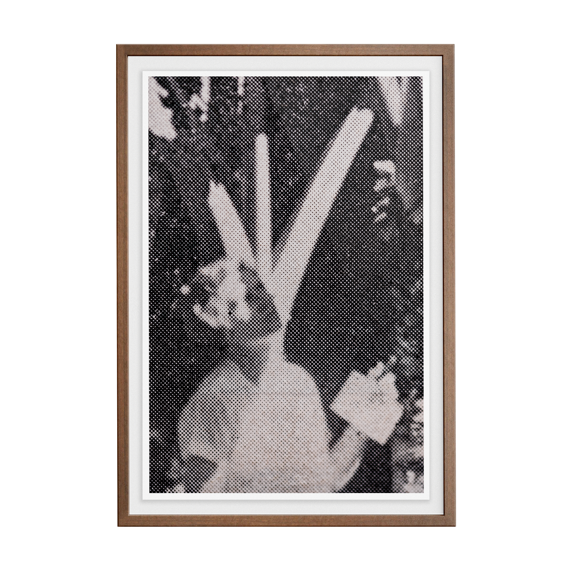 Suite Exotica Nova (No. 2) photographic print