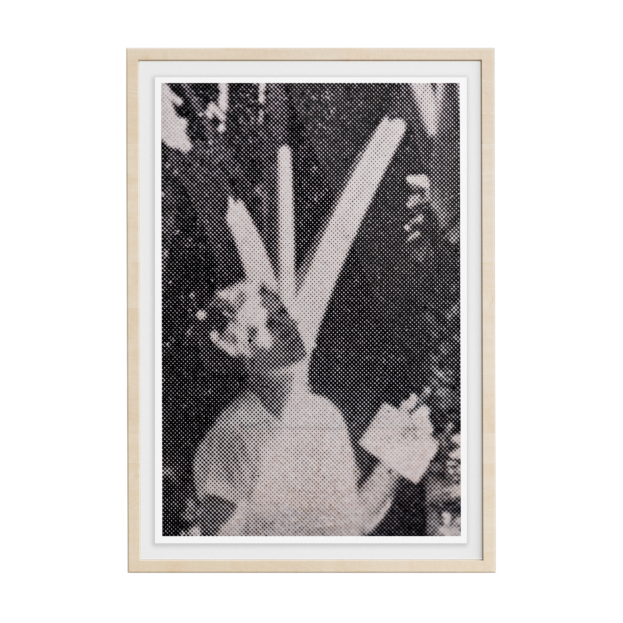 Suite Exotica Nova (No. 2) photographic print