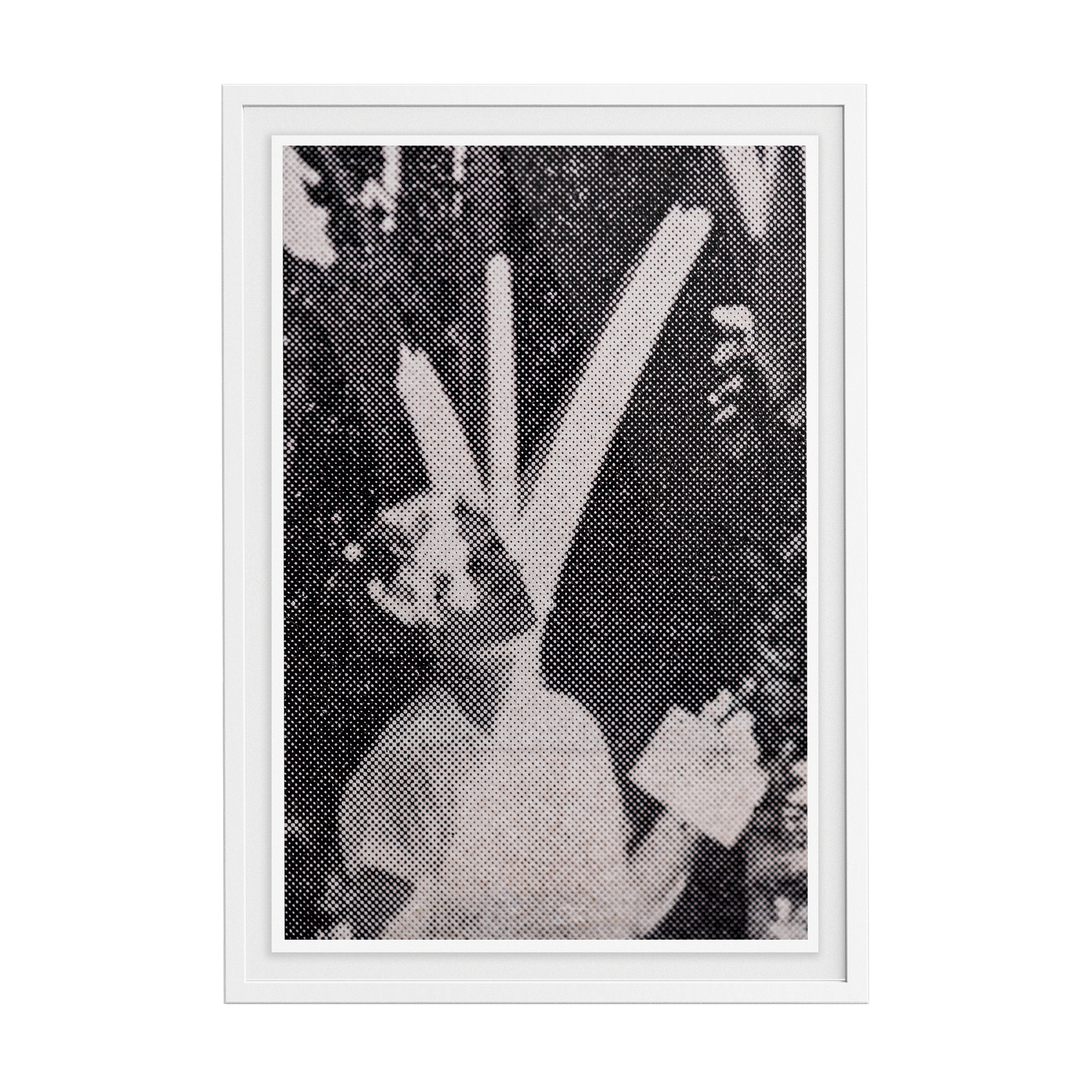 Suite Exotica Nova (No. 2) photographic print