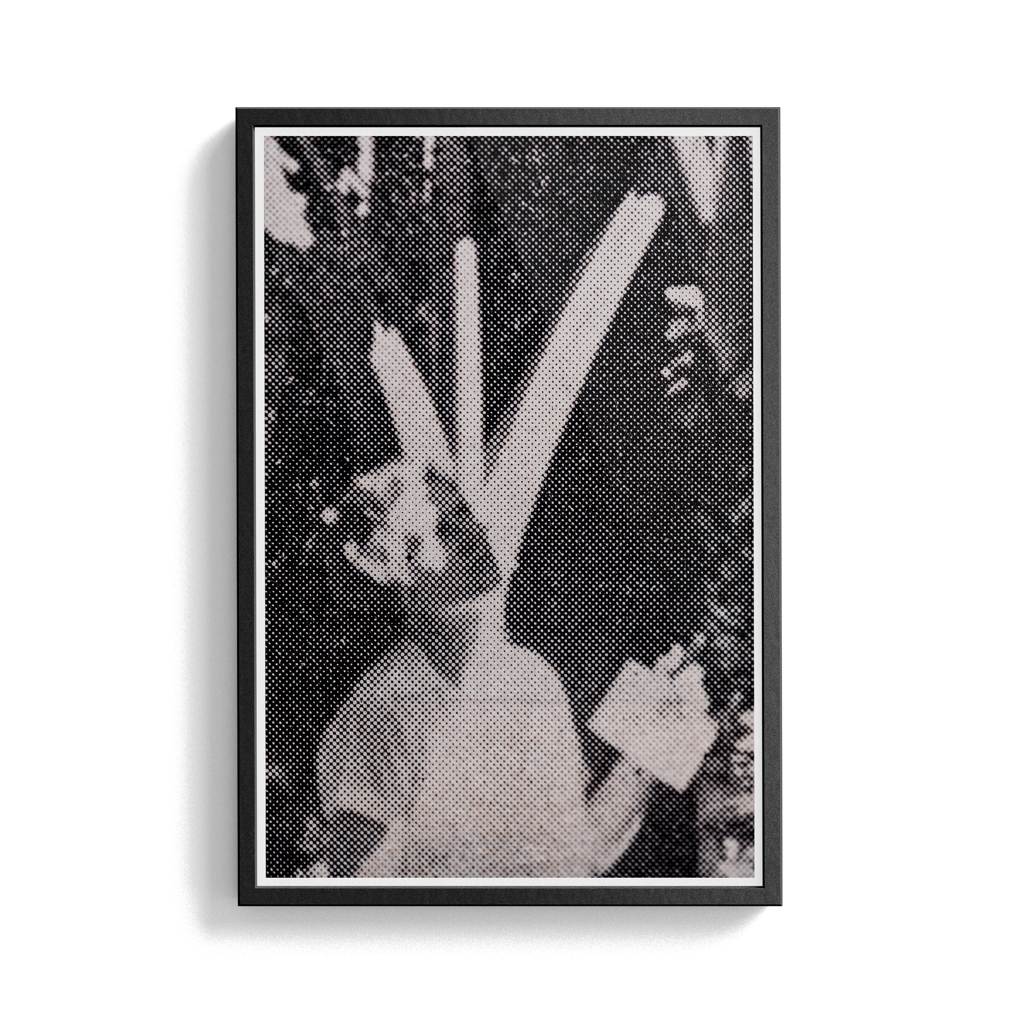 Suite Exotica Nova (No. 2) photographic print