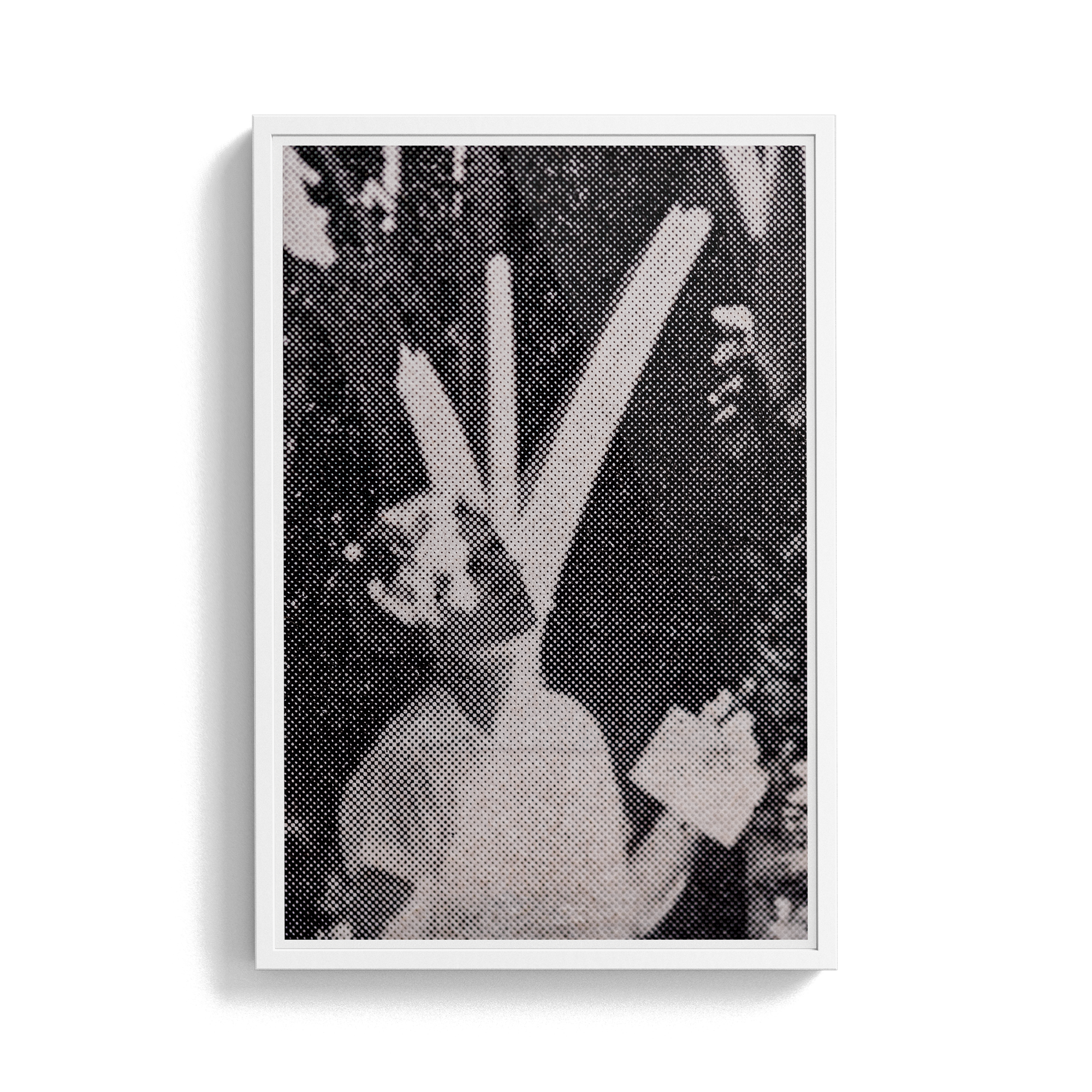 Suite Exotica Nova (No. 2) photographic print
