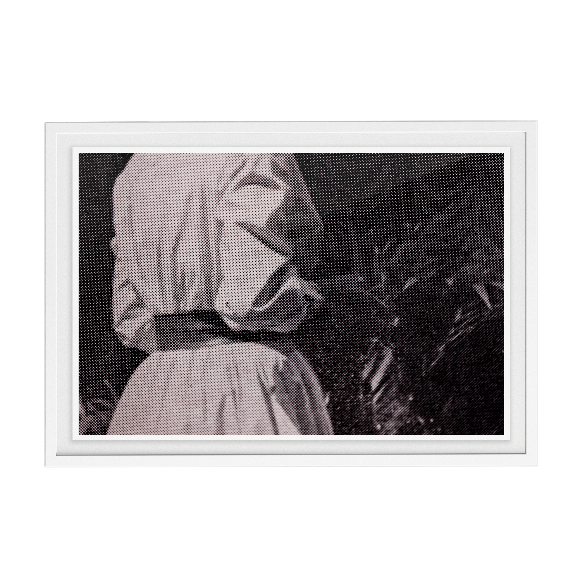 Suite Exotica Nova (No. 6) photographic print