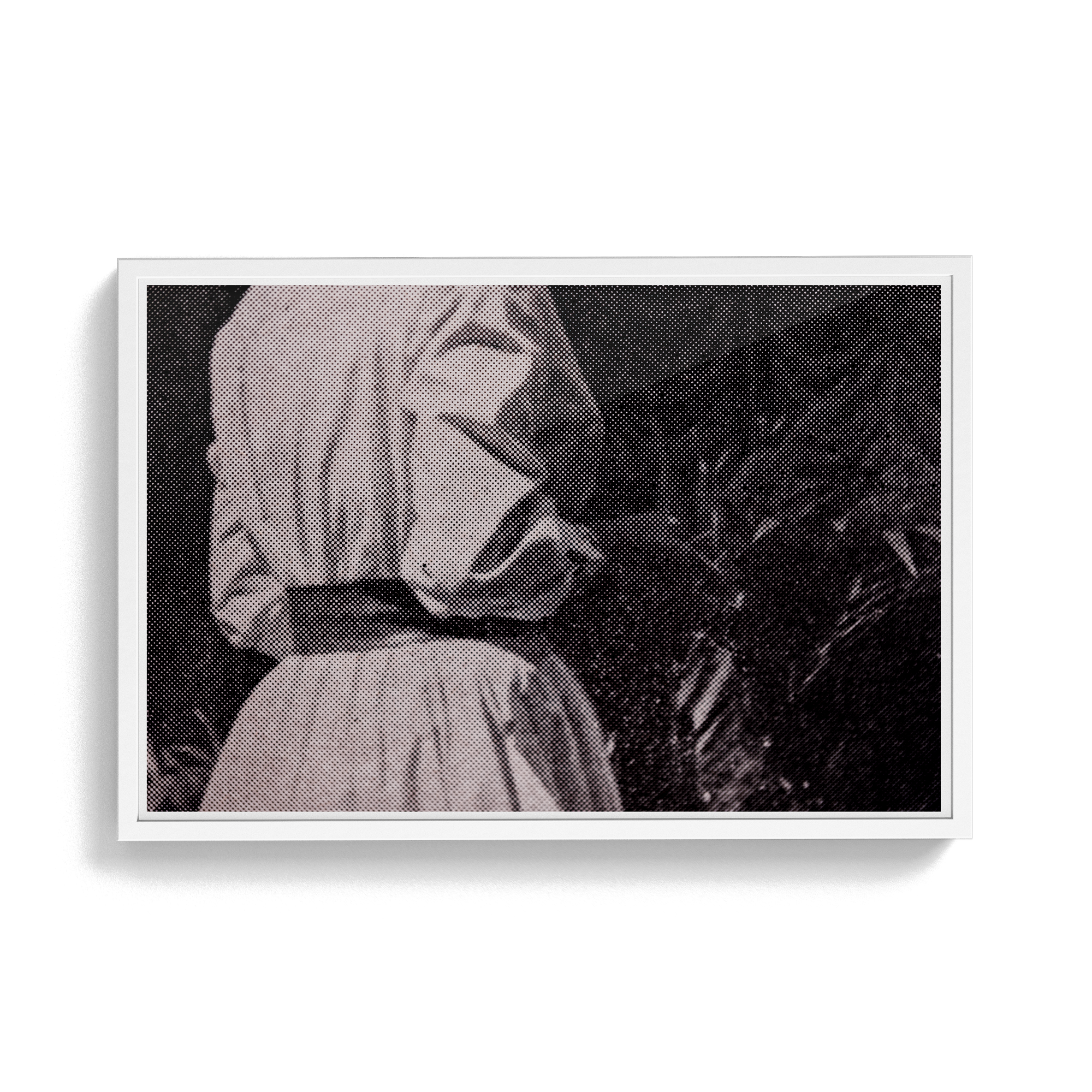 Suite Exotica Nova (No. 6) photographic print