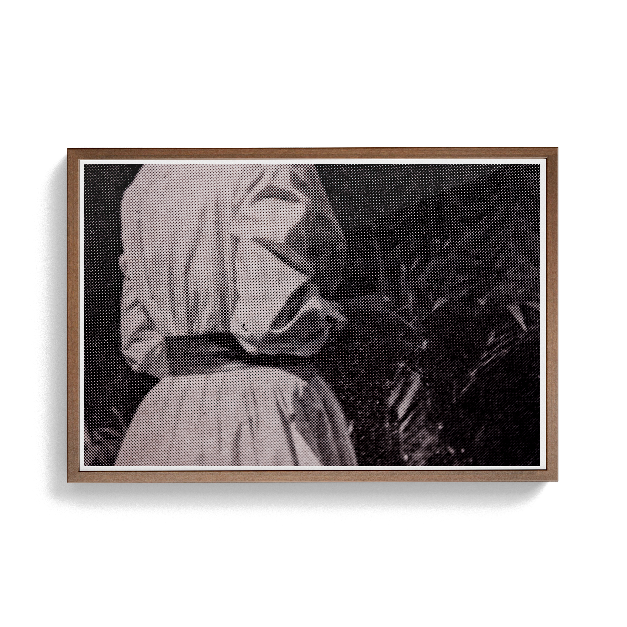 Suite Exotica Nova (No. 6) photographic print
