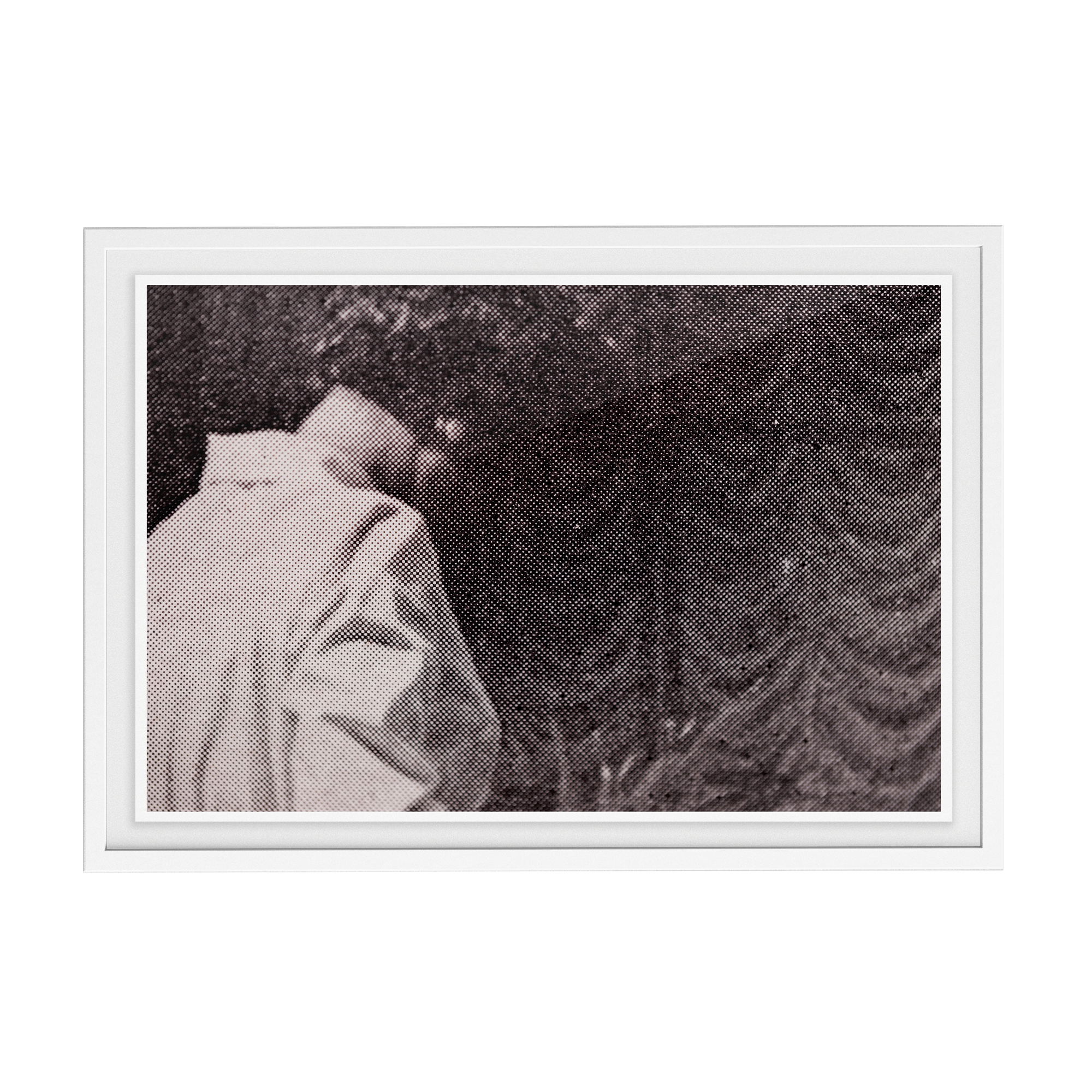 Suite Exotica Nova (No. 8) photographic print