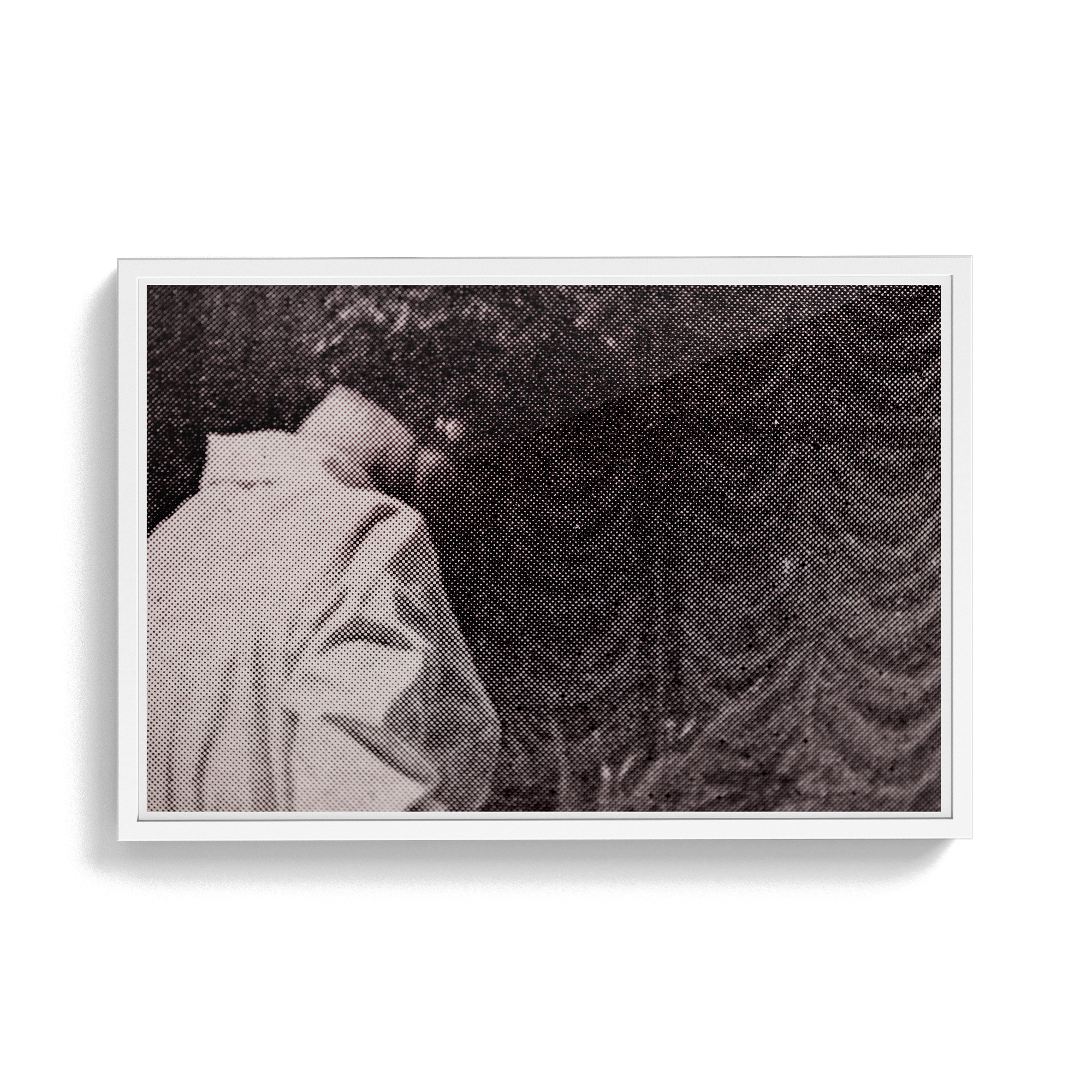 Suite Exotica Nova (No. 8) photographic print