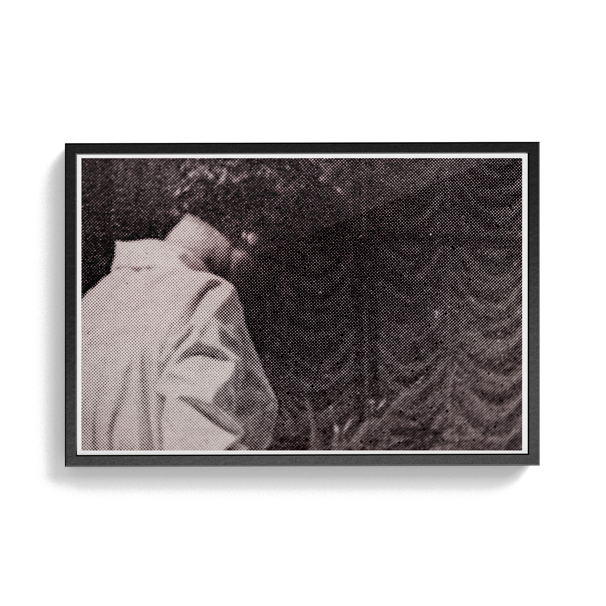 Suite Exotica Nova (No. 8) photographic print